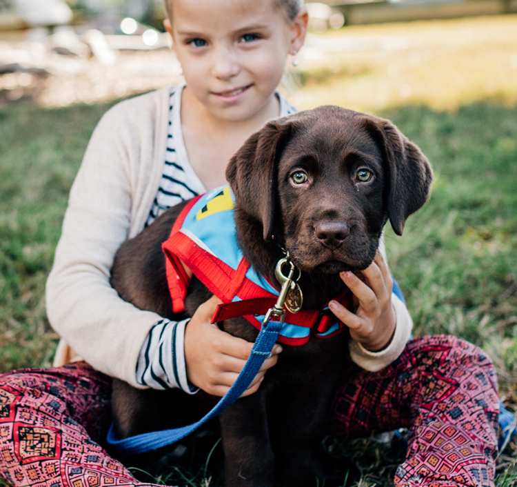 do guide dogs get government funding