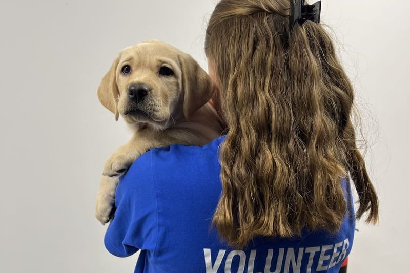 thumnail of international assistance dog week