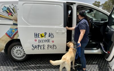 The driving force behind Hyundai Help For Kids’ Partnership with Assistance Dogs Australia