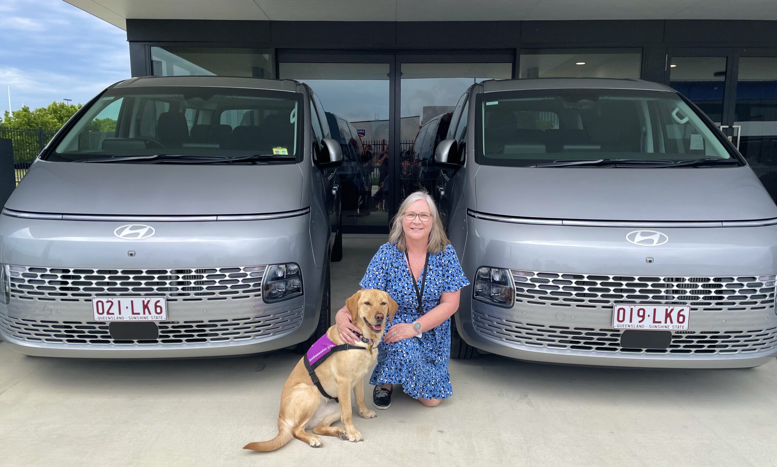 Woman kneeling with labrador between two silver Hyundai Staria vans