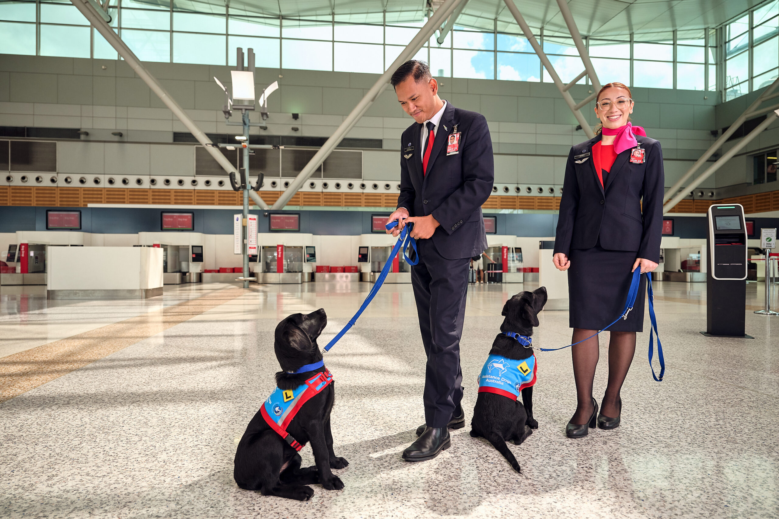 Two flight attendants standing with assistance dog puppies wearing jackets